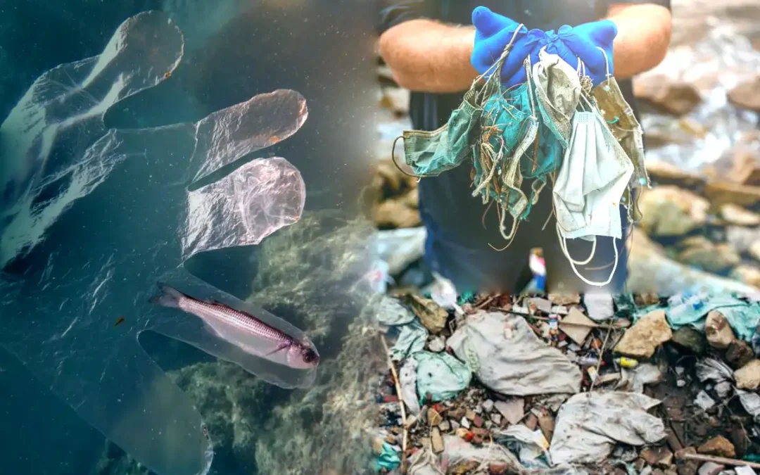 How to Choose a Medical Waste Disposal Service in Austin: MedCycle’s Approach