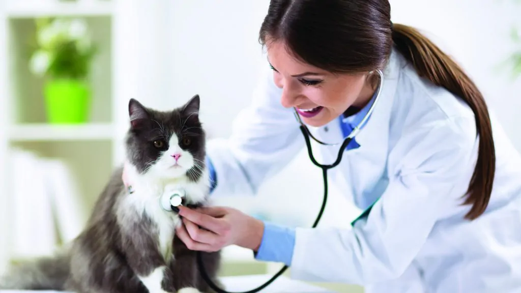 Proper veterinary waste disposal is important